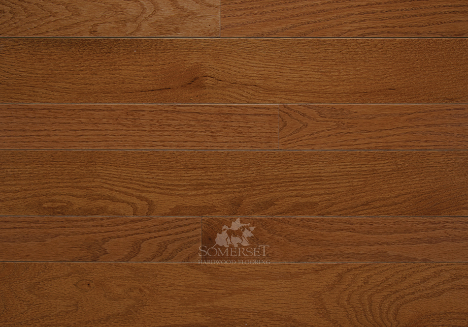 High Gloss Oak Flooring Somerset Twenty & Oak